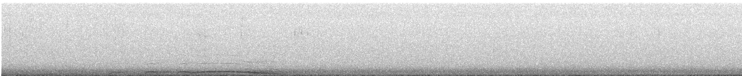 Barred Owl - ML646092592