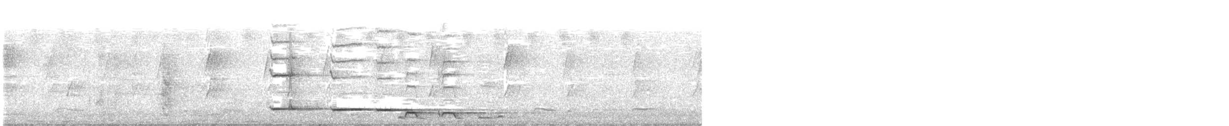 Gray Butcherbird - ML646092851