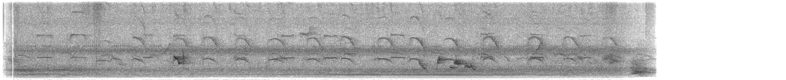 Scaly-breasted Munia - ML646092947