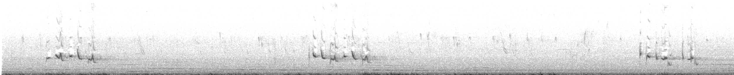 White-eared Bulbul - ML646093013