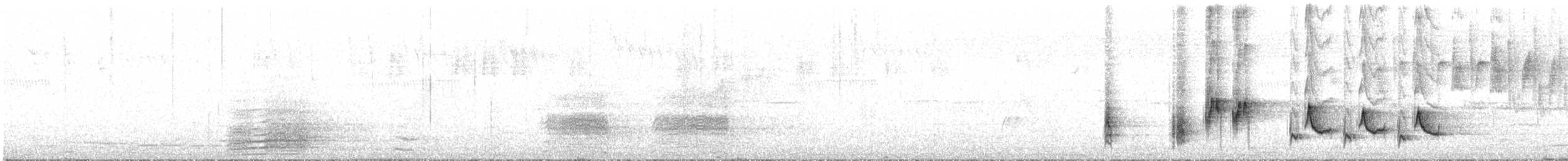 オーストラリアヨシキリ - ML646093231