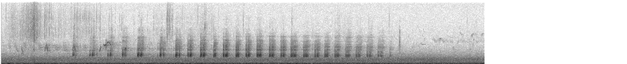 Avustralya Yılanboyunu - ML646093459