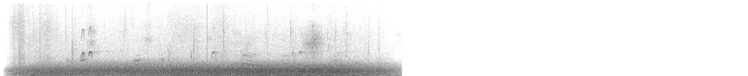 Long-billed Dowitcher - ML646093670