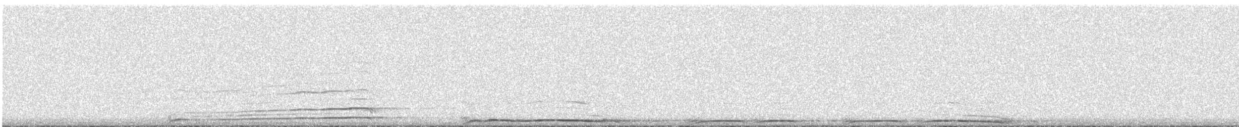 アメリカフクロウ - ML646093892