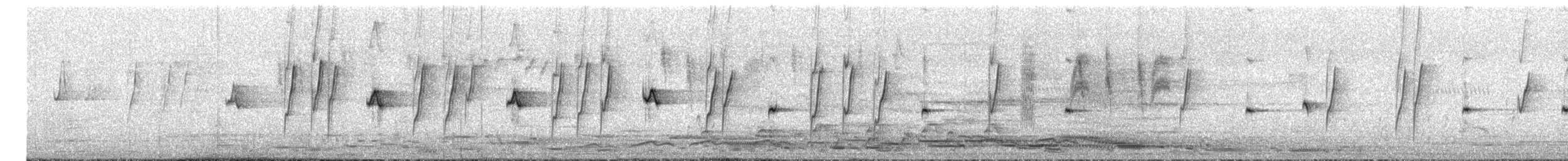 キリハシミツスイ - ML646094173