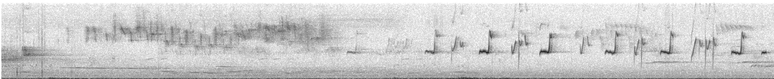 キリハシミツスイ - ML646094174