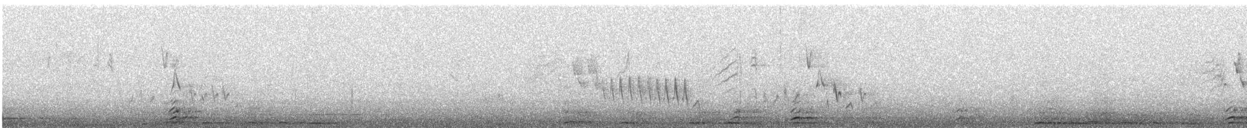 musesmett - ML646094386