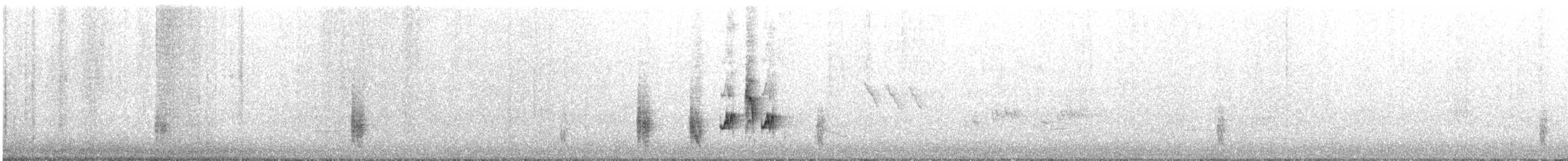 rákosník australský - ML646094567