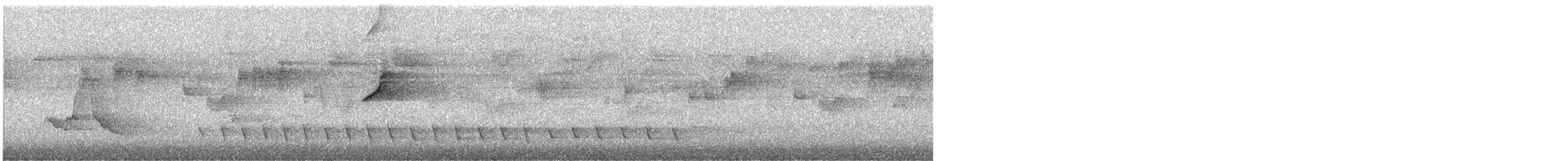 medosavka jasnohlasá - ML646094759