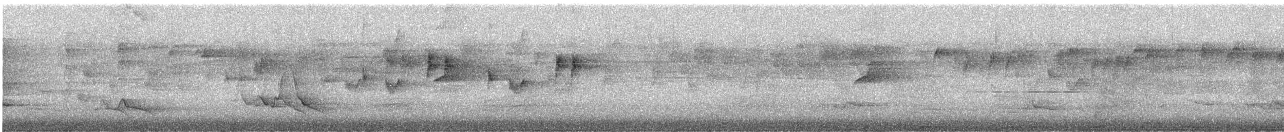 Black-faced Monarch - ML646094774