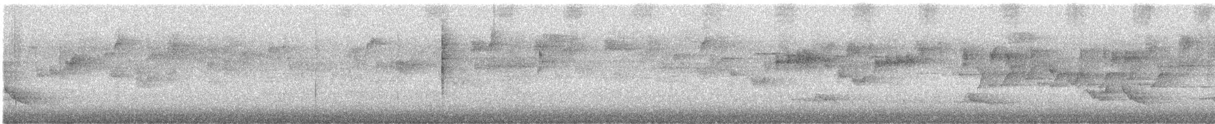 kosovec zvučnohlasý - ML646094898