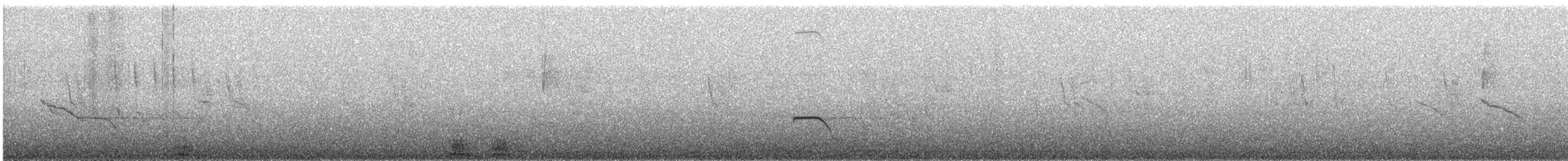 Scrub Blackbird - ML646094939