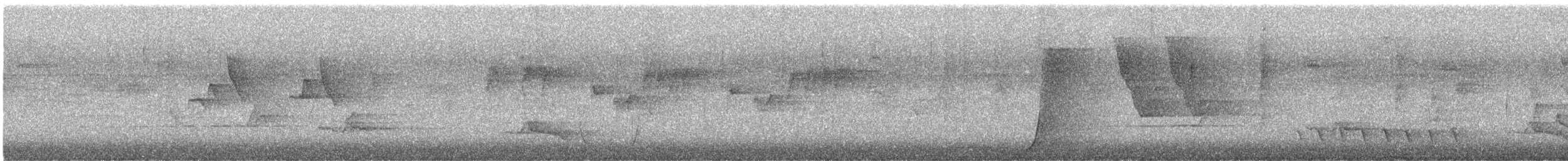 Black-faced Monarch - ML646094968