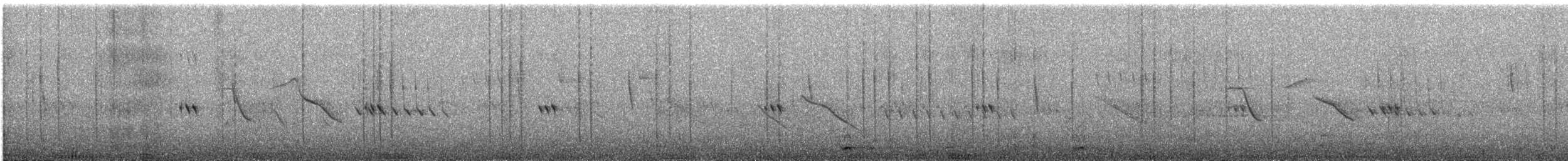 kalypta duhovohrdlá - ML646095007