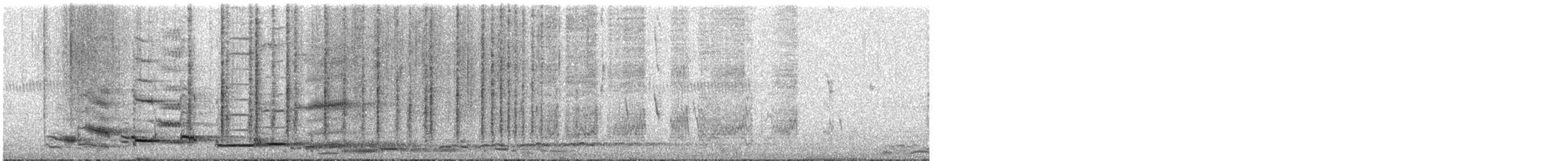 rákosník australský - ML646095026