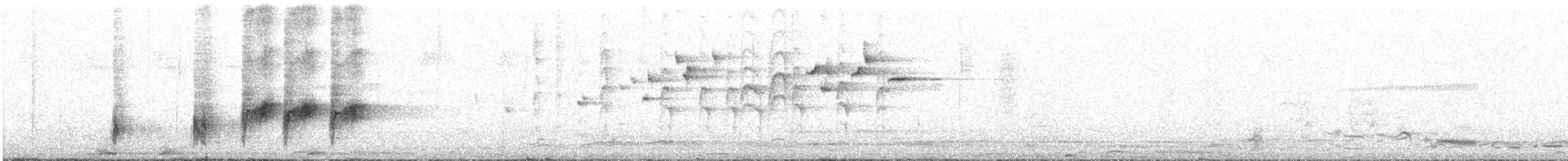 rákosník australský - ML646095027