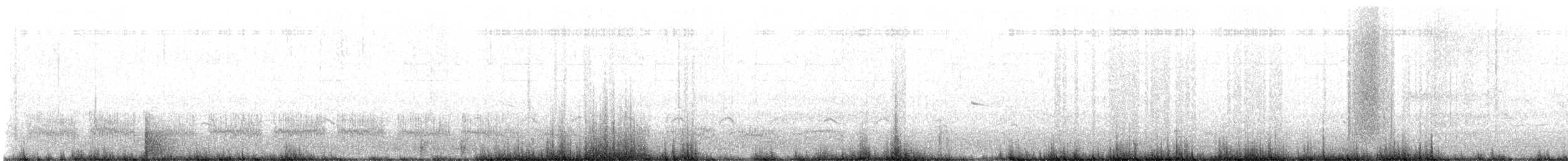 Schieferralle - ML646095504