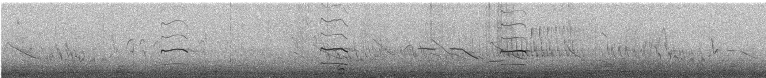 Keilschwanz-Regenpfeifer - ML646095535