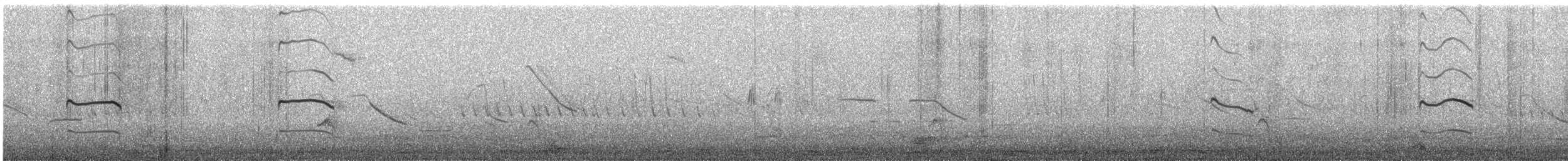 Keilschwanz-Regenpfeifer - ML646095537