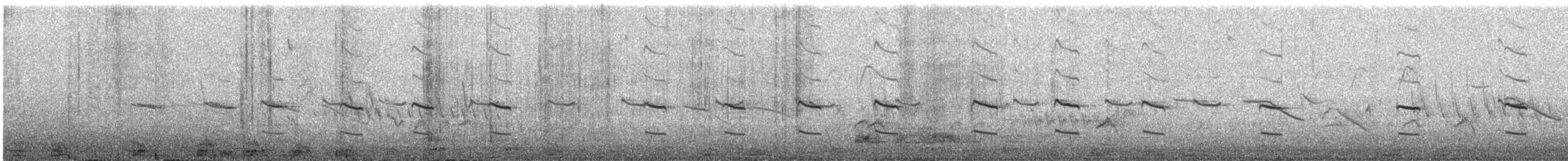 Keilschwanz-Regenpfeifer - ML646095538
