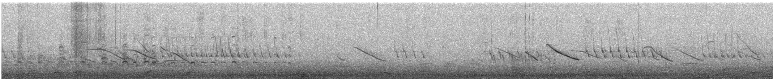 Andenkiebitz - ML646095541