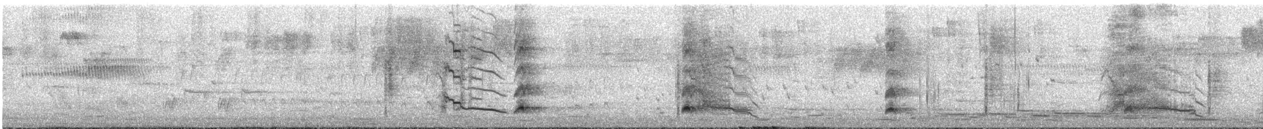 Papuateichhuhn - ML646096298