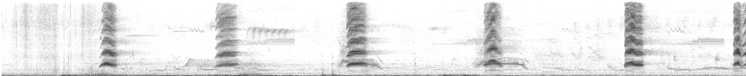 Dusky Moorhen - ML646096707