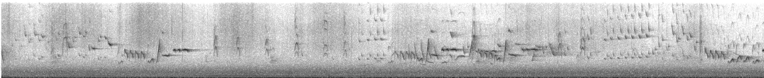 Gray Fantail - ML646096732