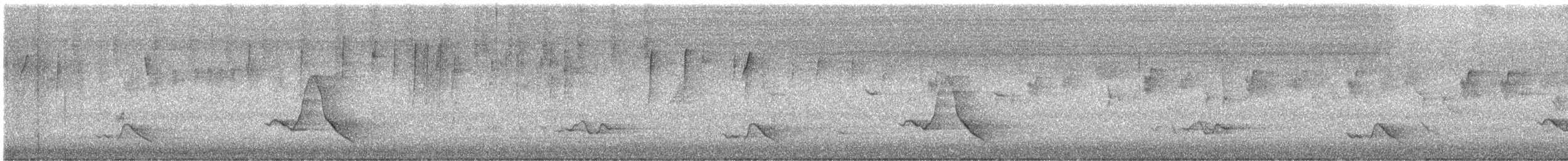 Black-faced Monarch - ML646096797