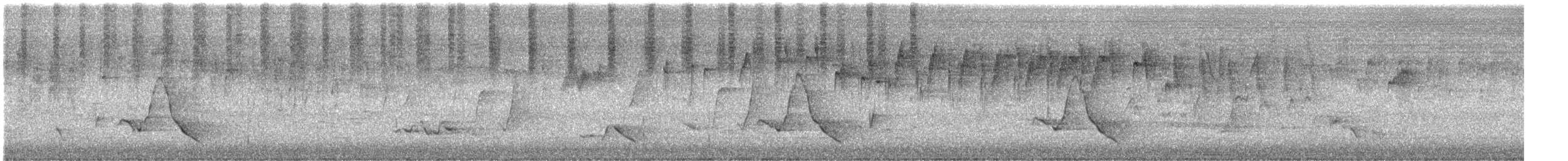 Black-faced Monarch - ML646096816