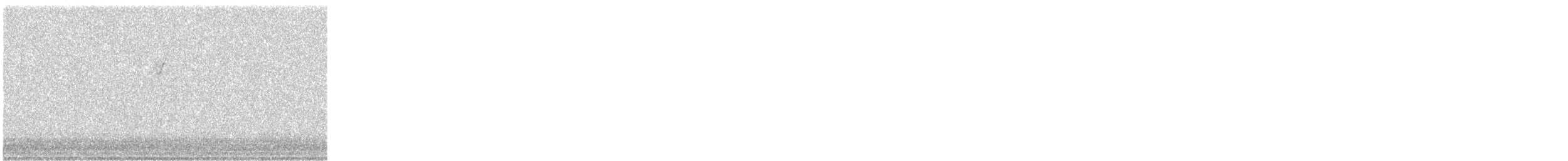 American Redstart - ML646096817