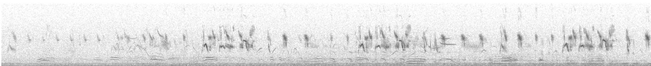 Blyth's Pipit - ML646097056