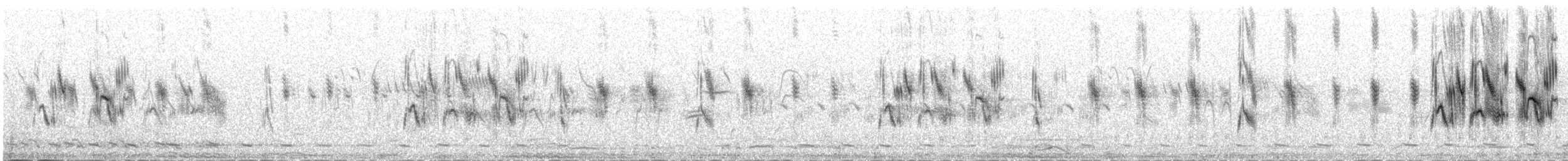 Blyth's Pipit - ML646097057