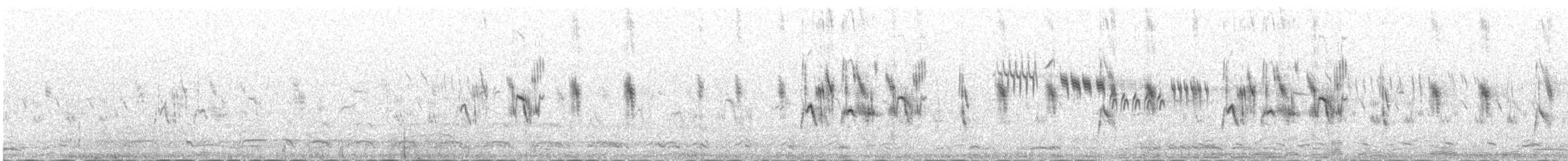 Blyth's Pipit - ML646097058