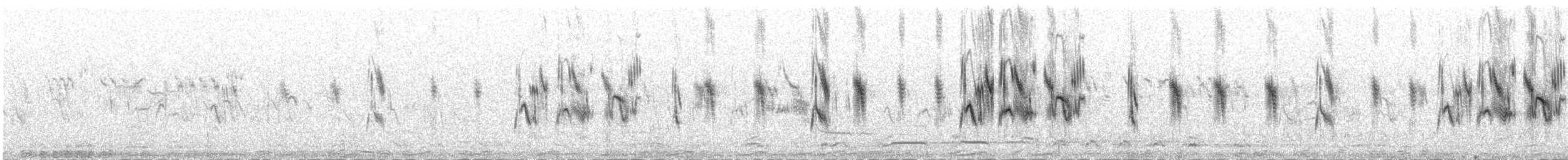 Blyth's Pipit - ML646097061