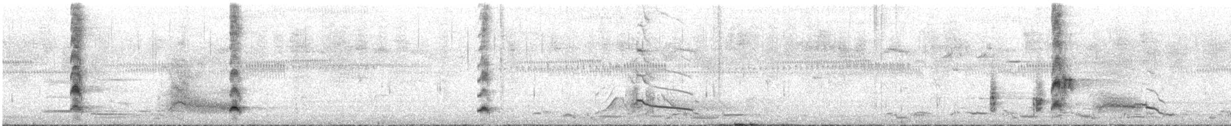 Dusky Moorhen - ML646097175