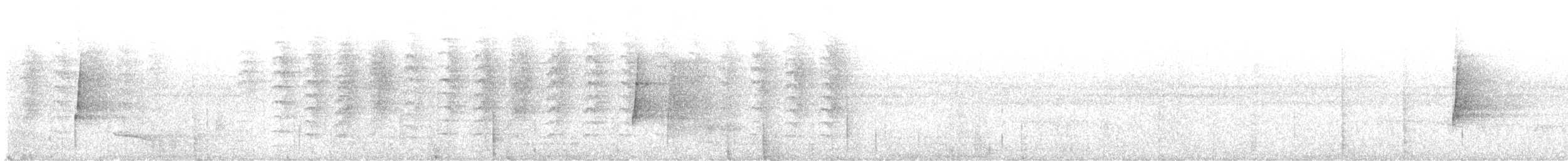 Lesser Melampitta - ML646097369