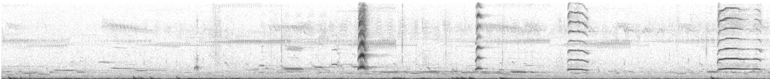 Dusky Moorhen - ML646097509