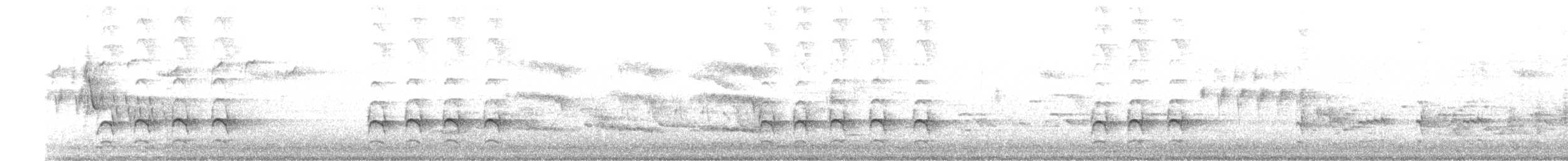 Sacred Kingfisher - ML646097690