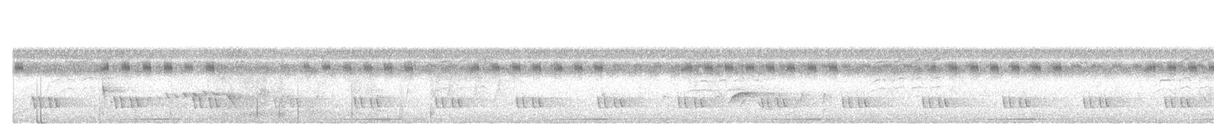 Barbudo Orejinegro - ML646098442