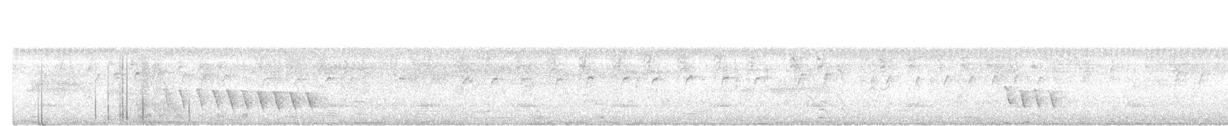 Iora Común - ML646098444