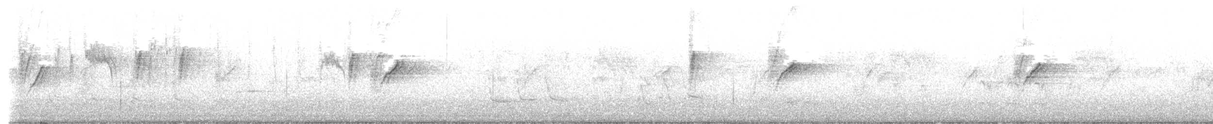 Suimanga Asiático - ML646098505