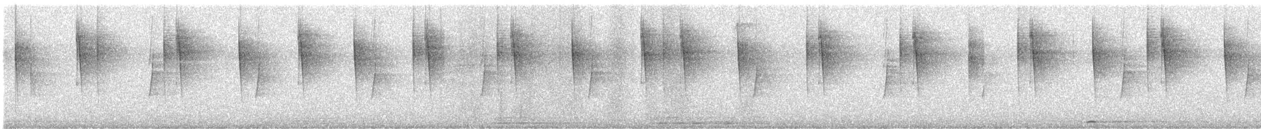 Colibrí Verdemar Mexicano - ML646099142