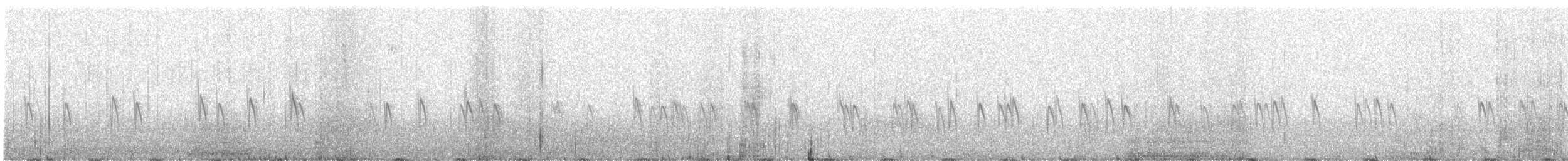 Piquituerto Común - ML646099166