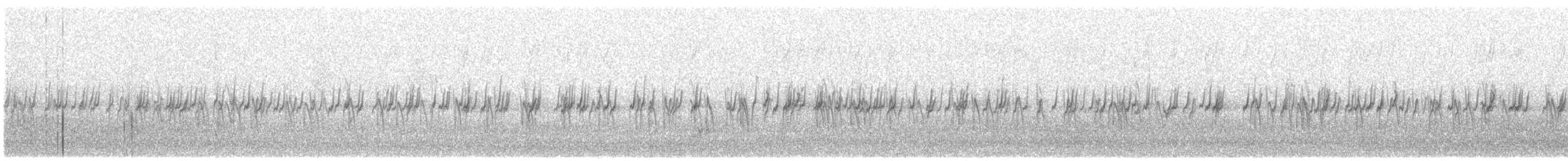 Piquituerto Común - ML646099398