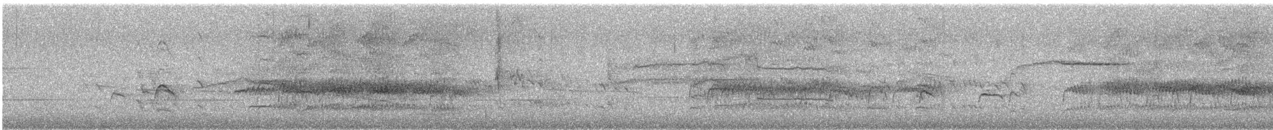 Charlatán Gorjiblanco - ML646099699