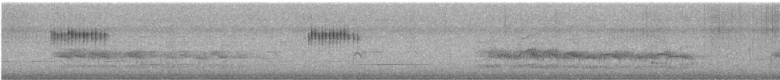 Colirrojo Frentiazul - ML646099703