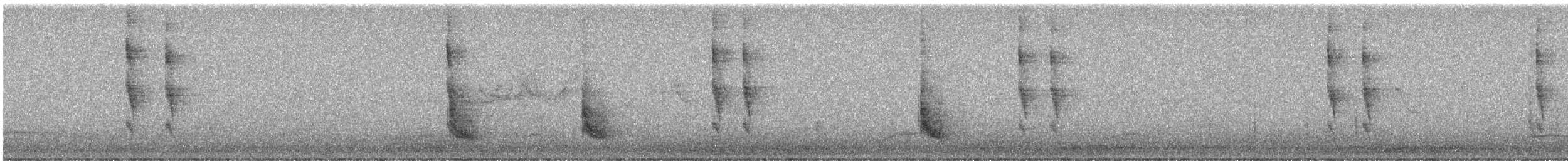 Pacific/Winter Wren - ML646099886