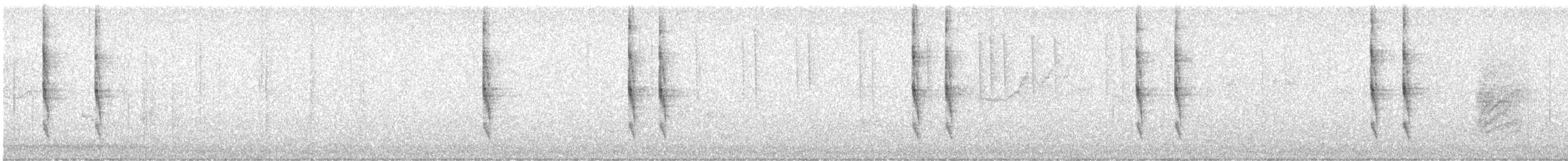 Pacific/Winter Wren - ML646099887