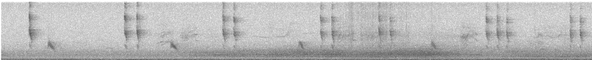 Pacific/Winter Wren - ML646099888